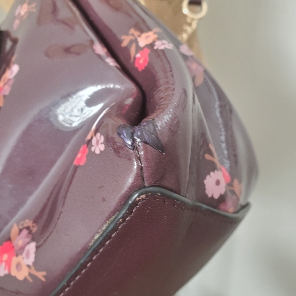 COACH F31395 SAGE CARRYALL Bag Handbag BOUQUET PRINT Purse Oxblood Maroon Small - Picture 11 of 15